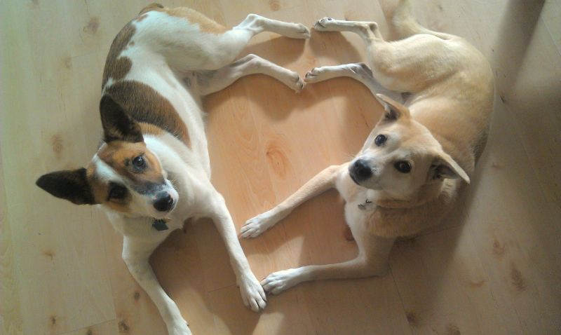 Look at these two sweethearts!